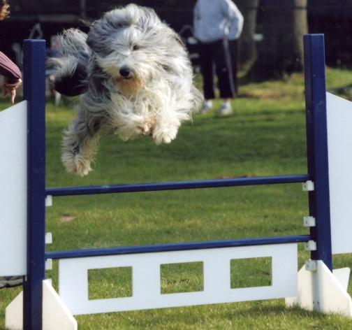 Publication : Dream From Highland's