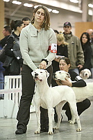 Publication : Leglo belih angela