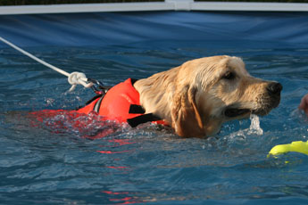 Duncan macleod Du mazage de mascayenne