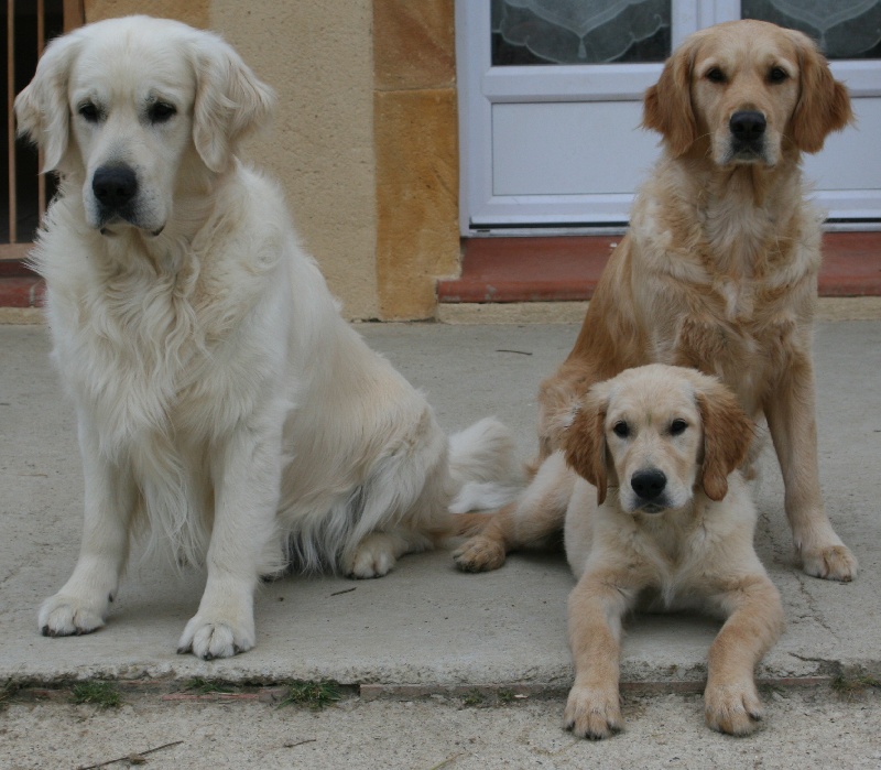 Duncan macleod Du mazage de mascayenne