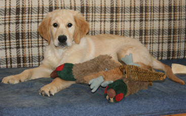 Duncan macleod Du mazage de mascayenne