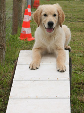Duncan macleod Du mazage de mascayenne