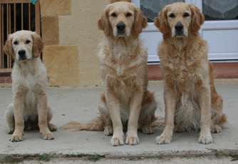 Duncan macleod Du mazage de mascayenne