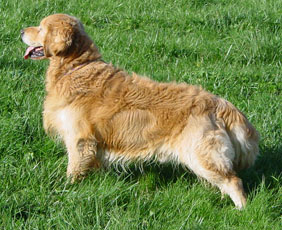 Publication : Du mazage de mascayenne