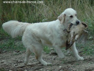 Best Du mazage de mascayenne - Trés bon