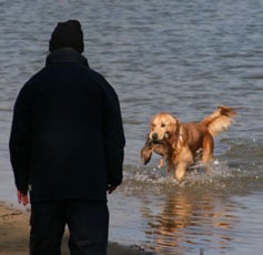 Angel Du mazage de mascayenne - Trés bon