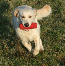 Best Du mazage de mascayenne - Selectif B