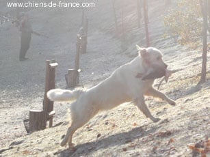 Best Du mazage de mascayenne - Trés bon