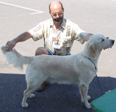 Tiase Du mazage de mascayenne - Trés Prometteur