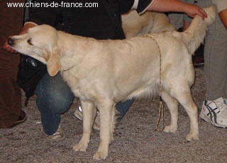 Best Du mazage de mascayenne - 2ème EXC en classe jeune
