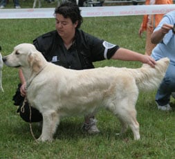 Best Du mazage de mascayenne - 2 ème EXC classe intermédiaire