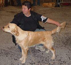 TR. Ambre Du mazage de mascayenne - 1er Trés Bon