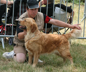 Corail des hauts de campardon - 2ème Trés bon