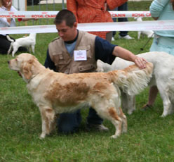 Azur Du plateau des abeilles - 1er Exc classe travail
