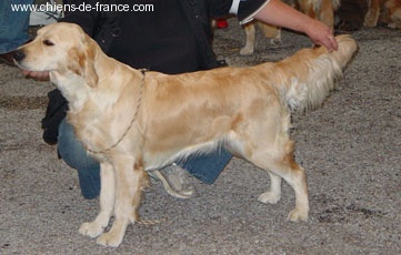 Azur Du plateau des abeilles - 2 ème EXC en classe travail