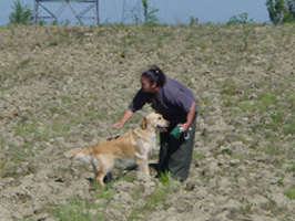 TR. Roxy de la Source de L'Avy - 4 ème Trés Bon