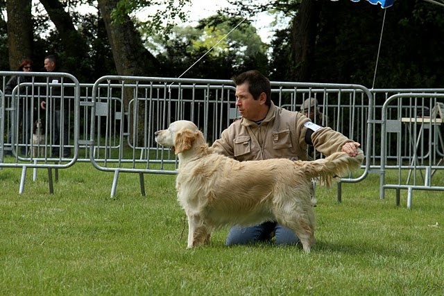 Tiase Du mazage de mascayenne - 2ème EXC classe Travail