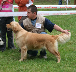 TR. Astaluego baby (Sans Affixe) - 4 ème EXC Classe ouverte Femelle