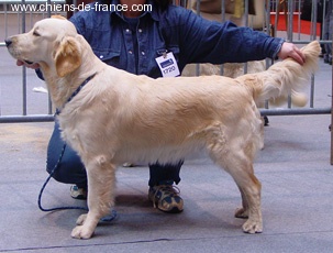 Tiase Du mazage de mascayenne - 2 éme EXCELLENT