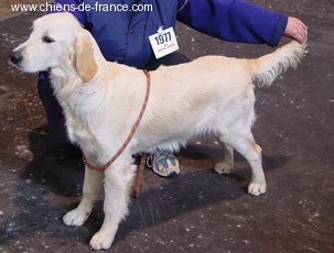 Tiase Du mazage de mascayenne - Trés Prometteur