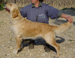 TR. Roxy de la Source de L'Avy - EXCELLENT