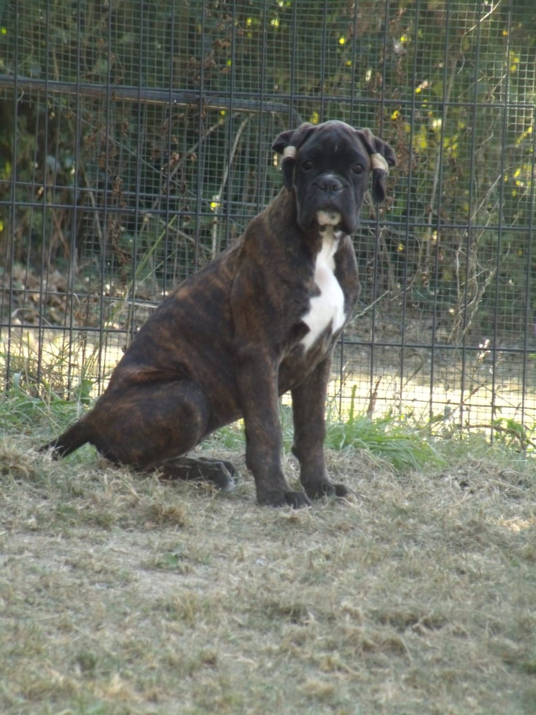 Publication : Du clos sara