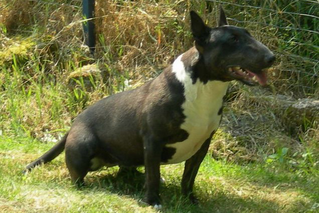 U're a magic black michaela des Prés D'Hermare