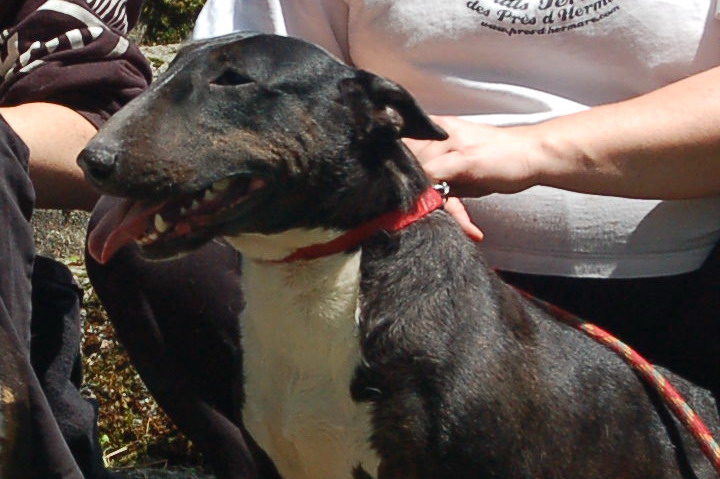 U're a magic black michaela des Prés D'Hermare