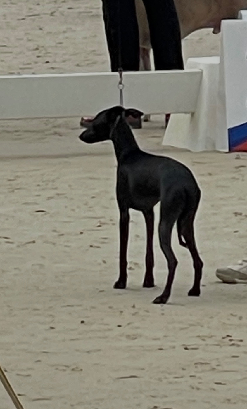 Unique Égérie De La Ribière Des Brumes