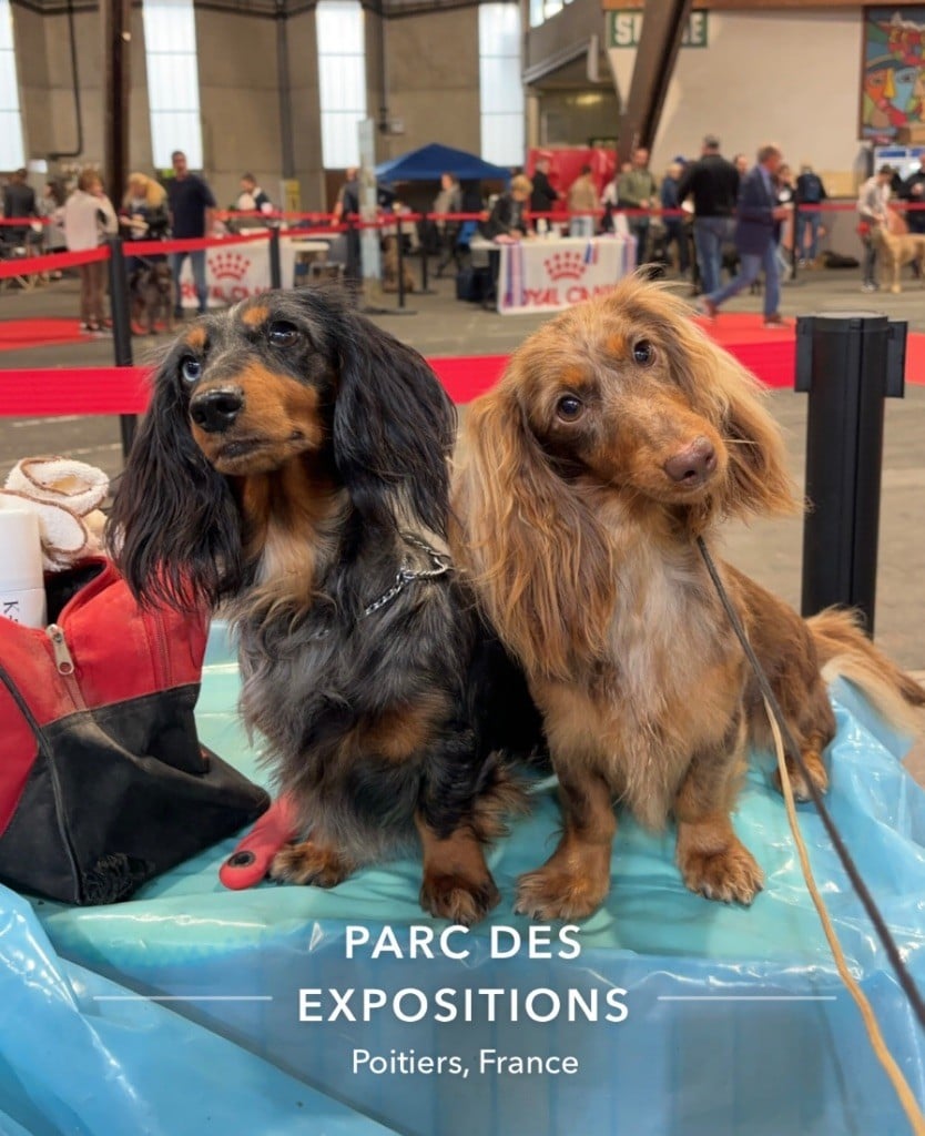 Trophy Des Anges De L'apocalypse - 2 eme EXC- Classe Ouverte