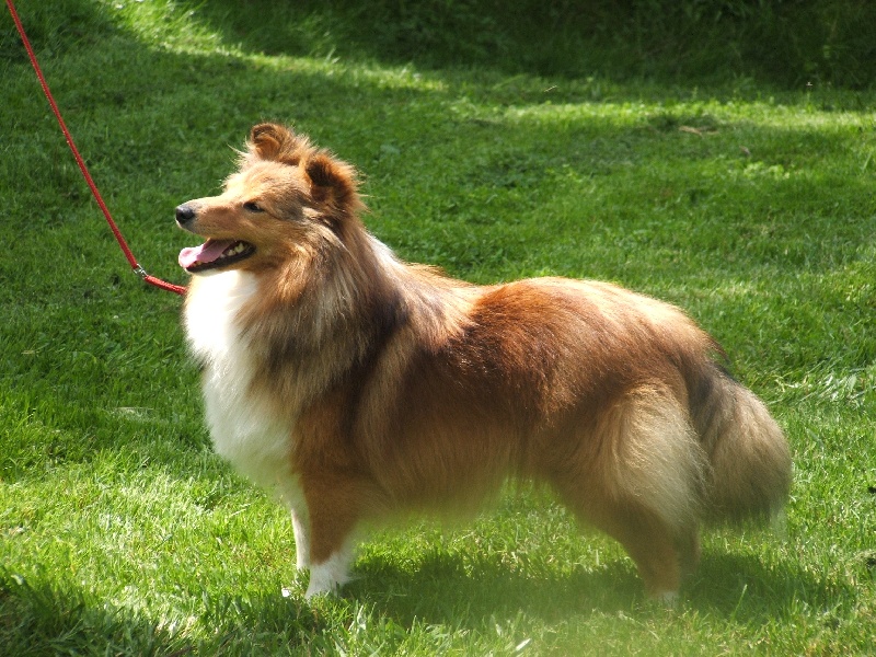 Aphrodite mon ange de Moorstile