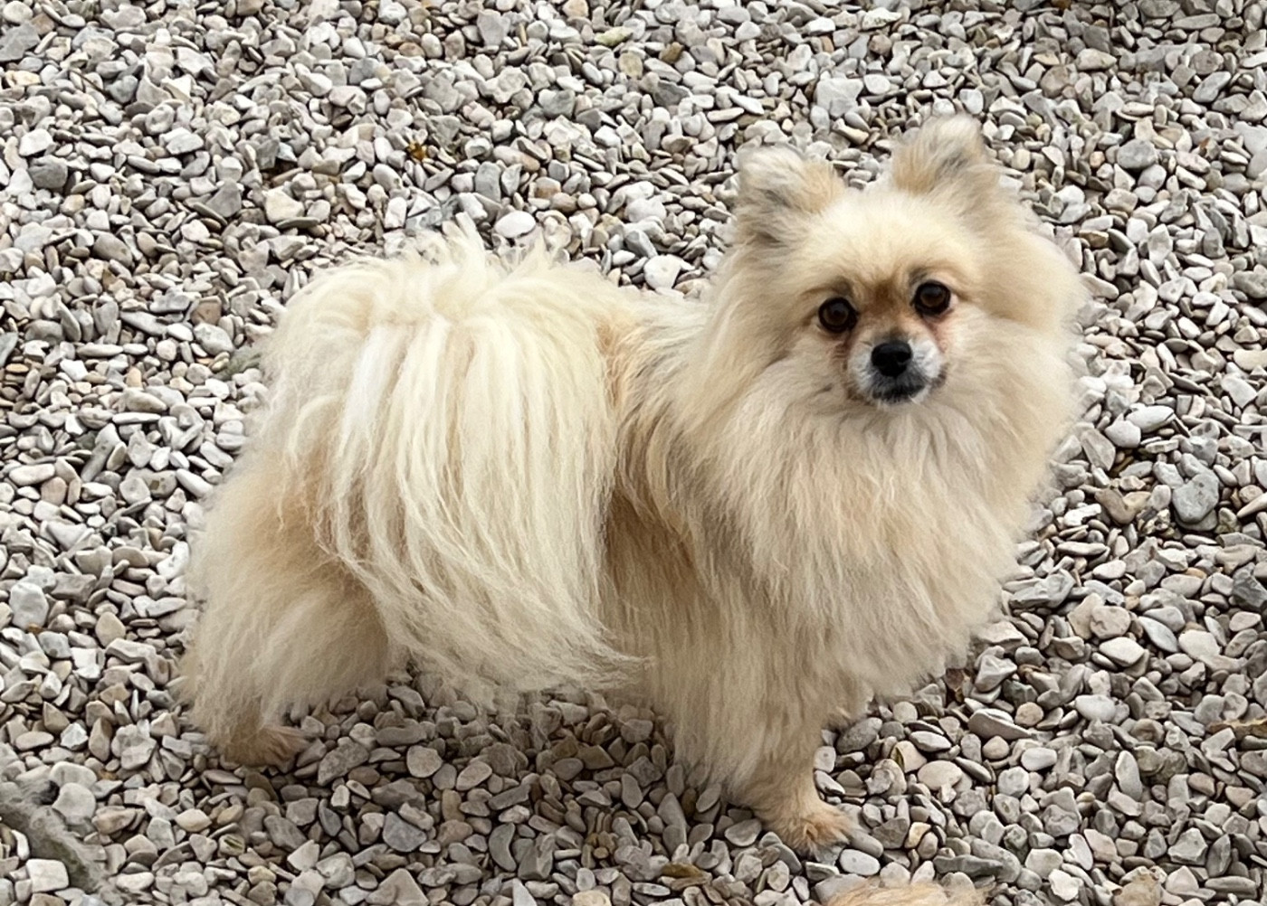 Publication : au jardin des merveilles