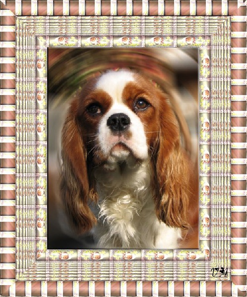 Baby b'loo de la noble cavalière - EXCELLENT