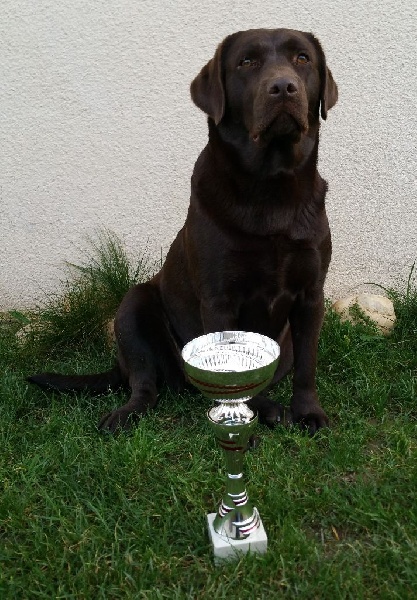 TR. Isis De la Vallée de la Brière - RCACT