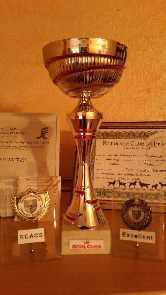 TR. Isis De la Vallée de la Brière - RCACT