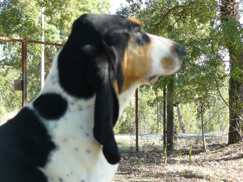 Publication : Des hauts d'en maze