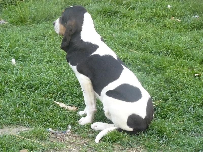 Publication : Des hauts d'en maze