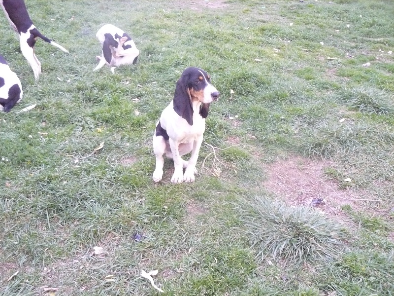 Publication : Des hauts d'en maze