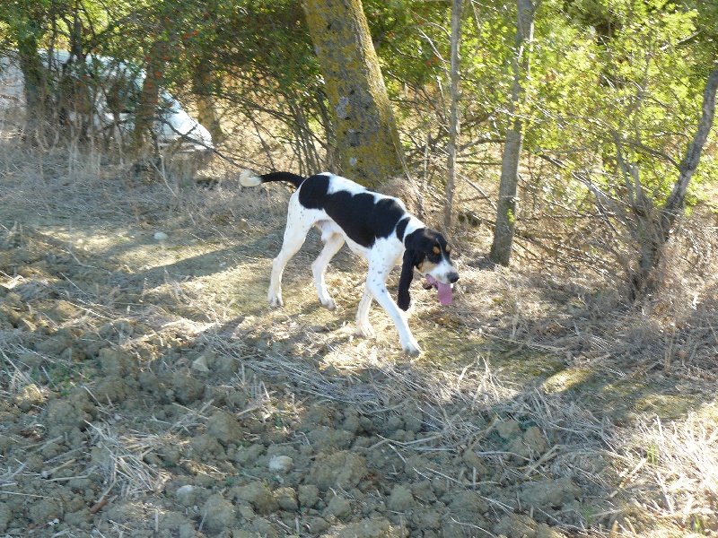 Publication : Des hauts d'en maze