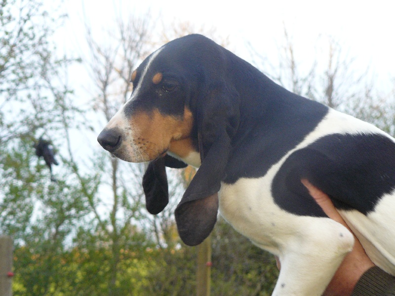 Publication : Des hauts d'en maze