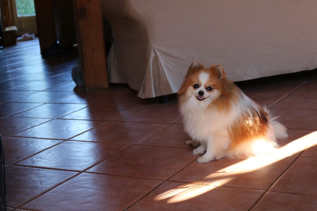 Publication : Born in rosebud Auteur : Aufroy