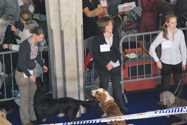 Diablotine du Clos Dominant - MEILLEUR TRES JEUNE