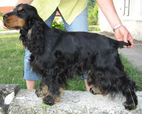 Publication : Des terres froides Auteur : B BOLZE