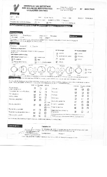 Publication : Des terres froides Auteur : B BOLZE