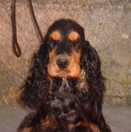 Publication : Des terres froides