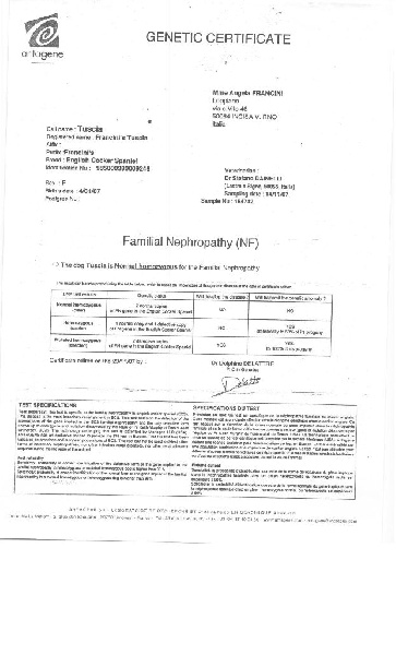 Publication : Des terres froides Auteur : B BOLZE