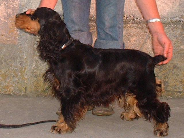 Publication : Des terres froides