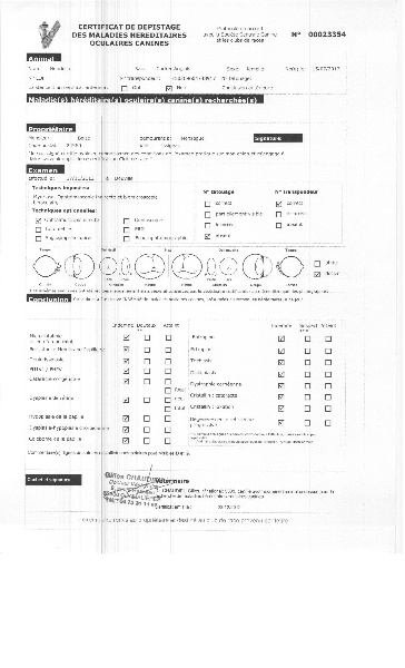 Publication : Des terres froides