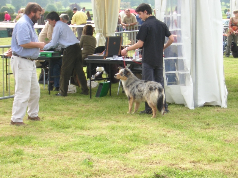 Blue rhapsody's girl De l'étang de pincemaille - 4è de son groupe d'âge