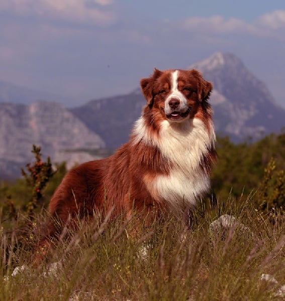 Publication : au coeur du verdon